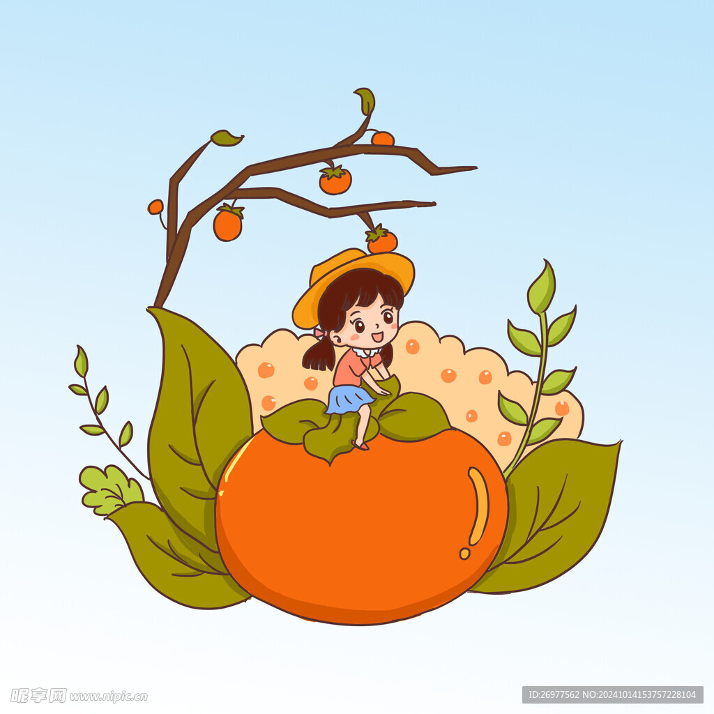  女孩摘柿子 