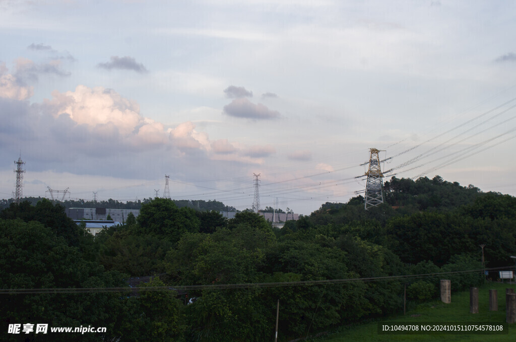 郊野树林