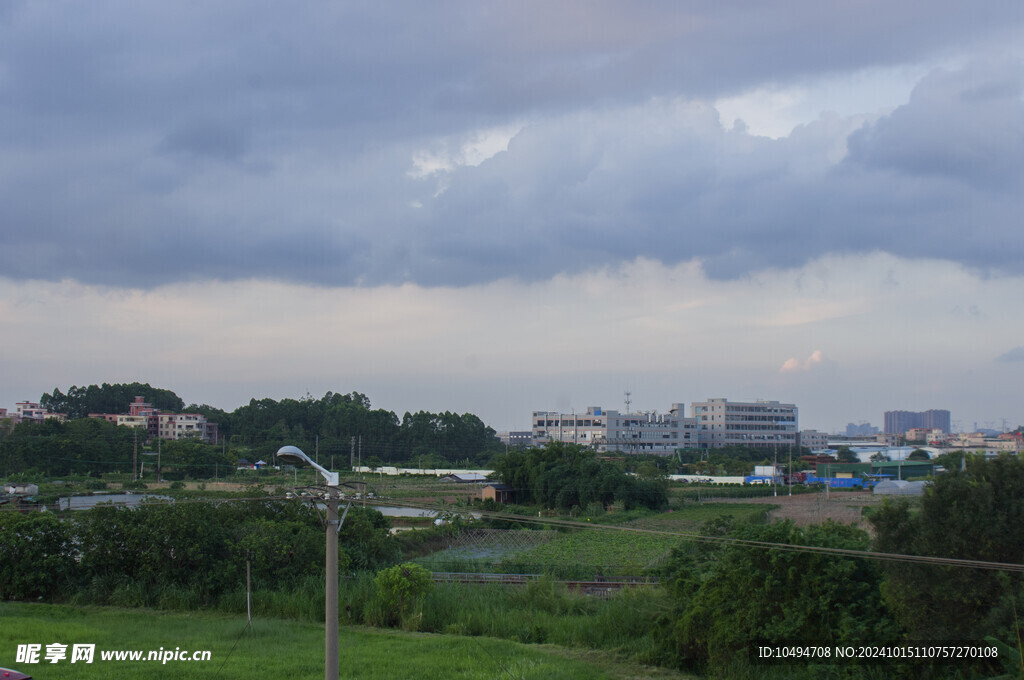 城市郊野