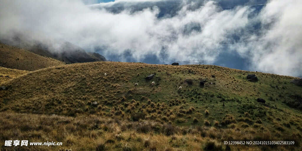 草原牧场