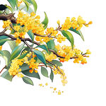 古风中秋节节日桂花树