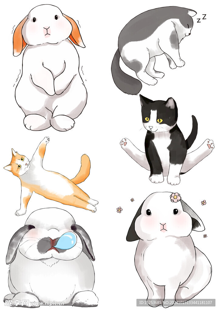 猫猫兔兔
