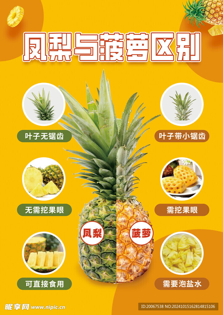 凤梨与菠萝区别海报