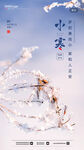 小寒图片