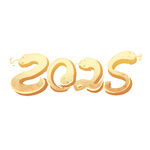 2025图标