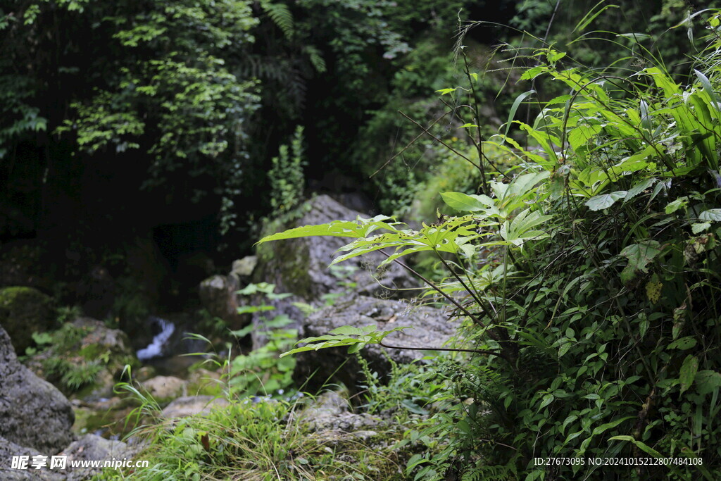 青城山