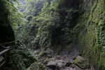 青城山