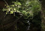 青城山