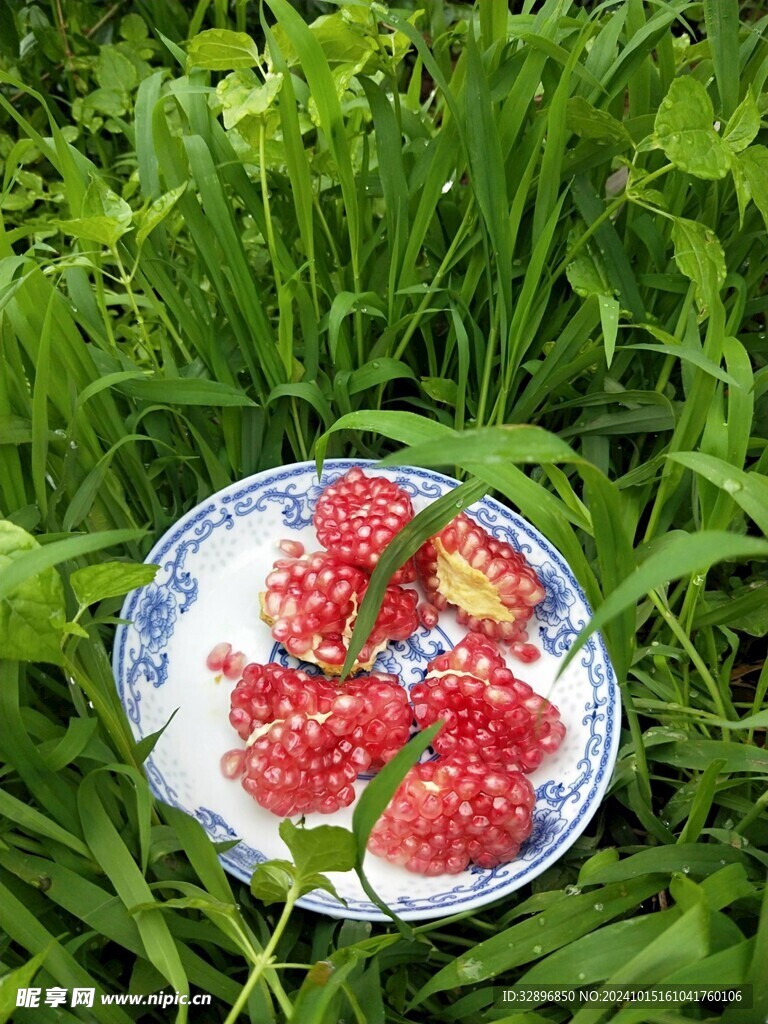 石榴