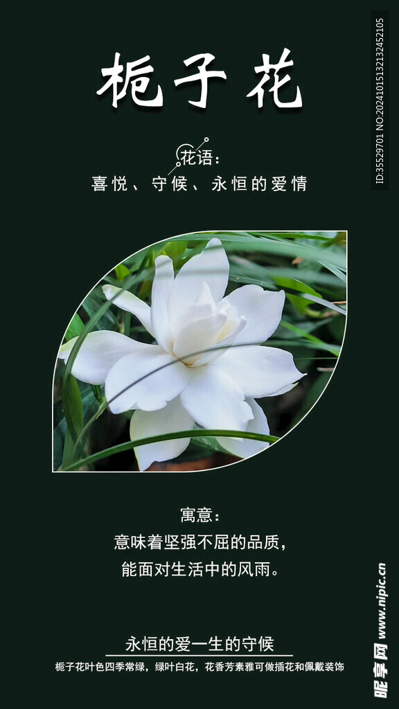 栀子花