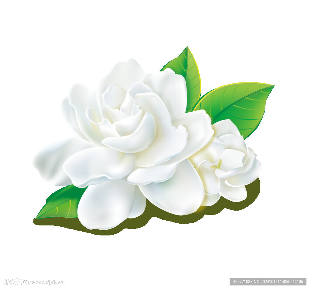 花