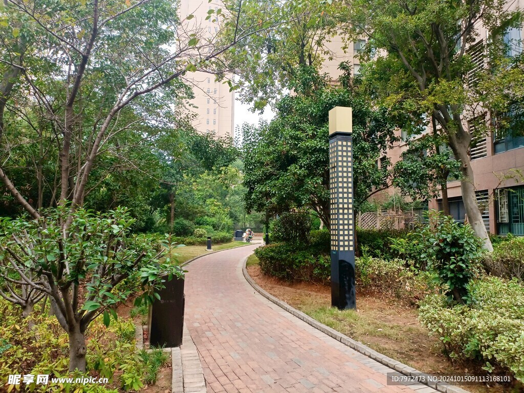 小区绿化