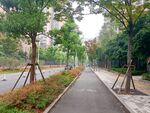 小区绿化