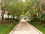 小区绿化