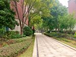 小区绿化