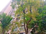 小区绿化