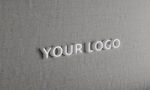 logo样机素材 