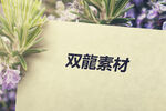 logo样机素材 