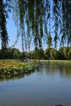 公园风景  