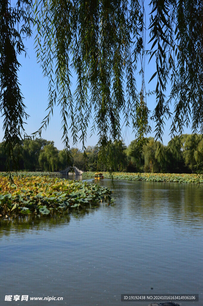 公园风景  