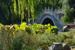 公园风景  