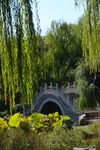 公园风景  