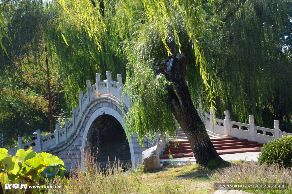 圆明园风景 