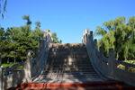 公园风景  