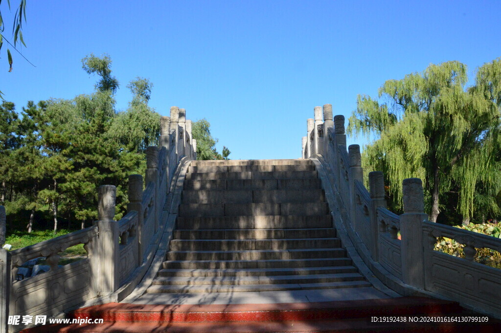 公园风景  