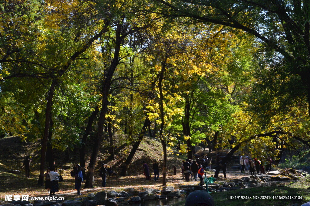 圆明园风景 