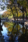 圆明园风景 