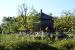 圆明园风景  