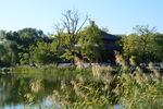 公园风景  