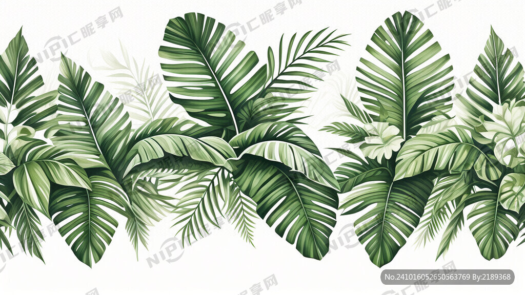 东南亚芭蕉叶绿植手绘平面效果