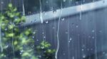 雨中