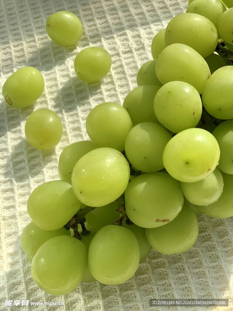 葡萄