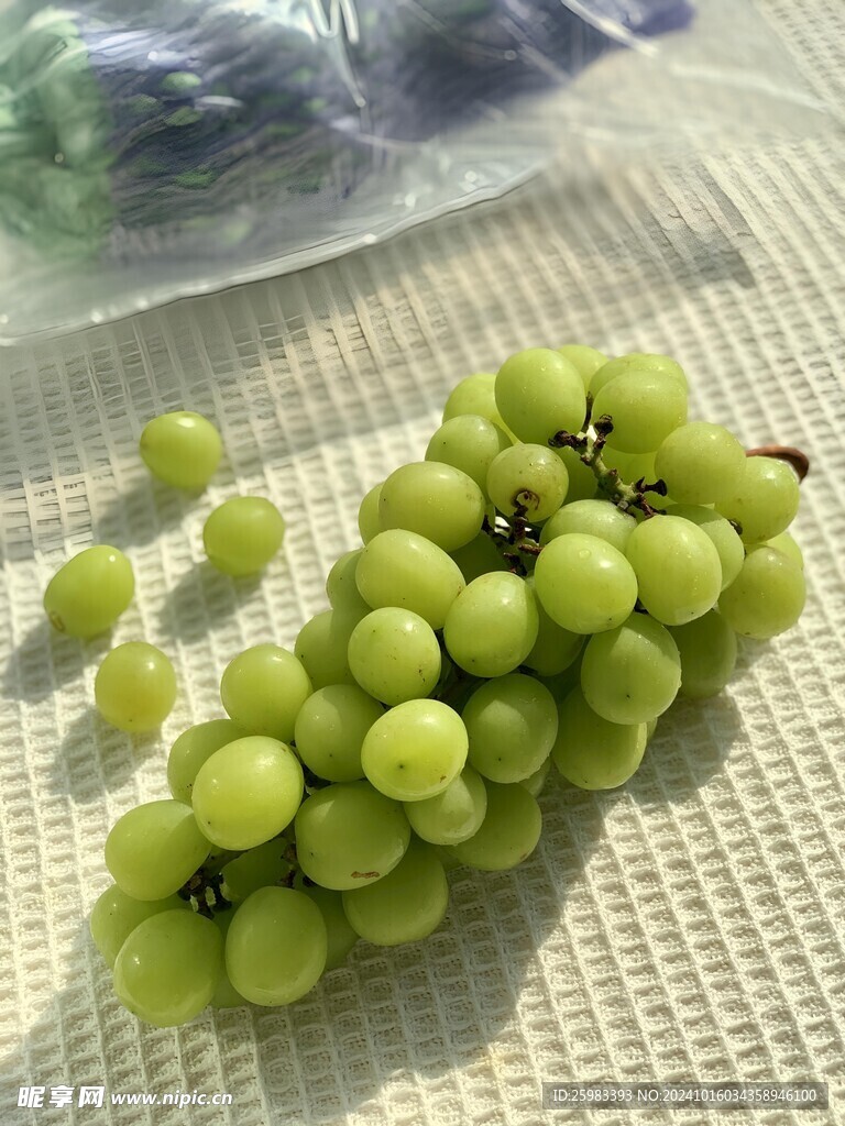 葡萄