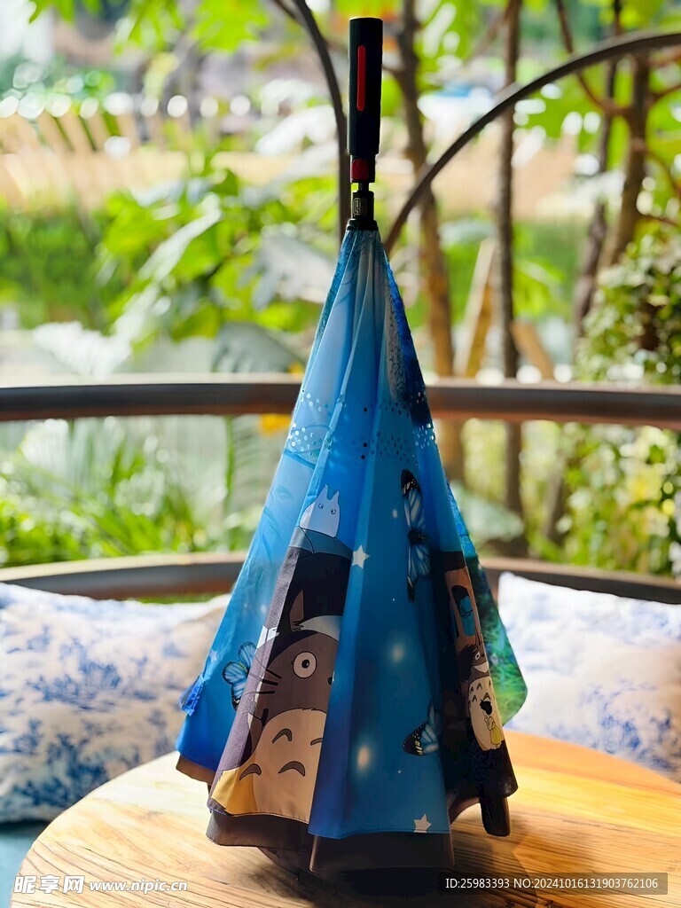 雨伞 