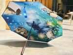 雨伞 