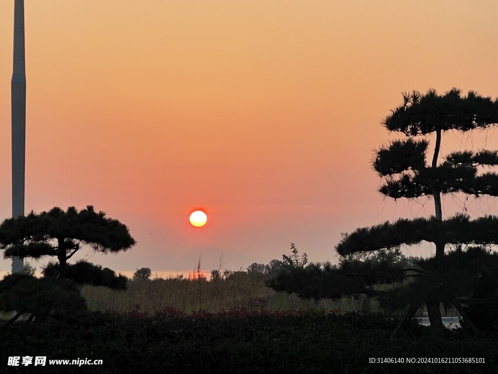 早晨的太阳图片