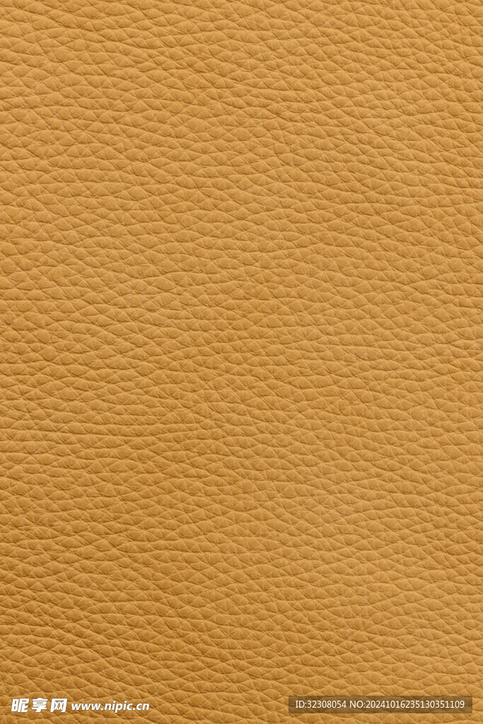 皮纹