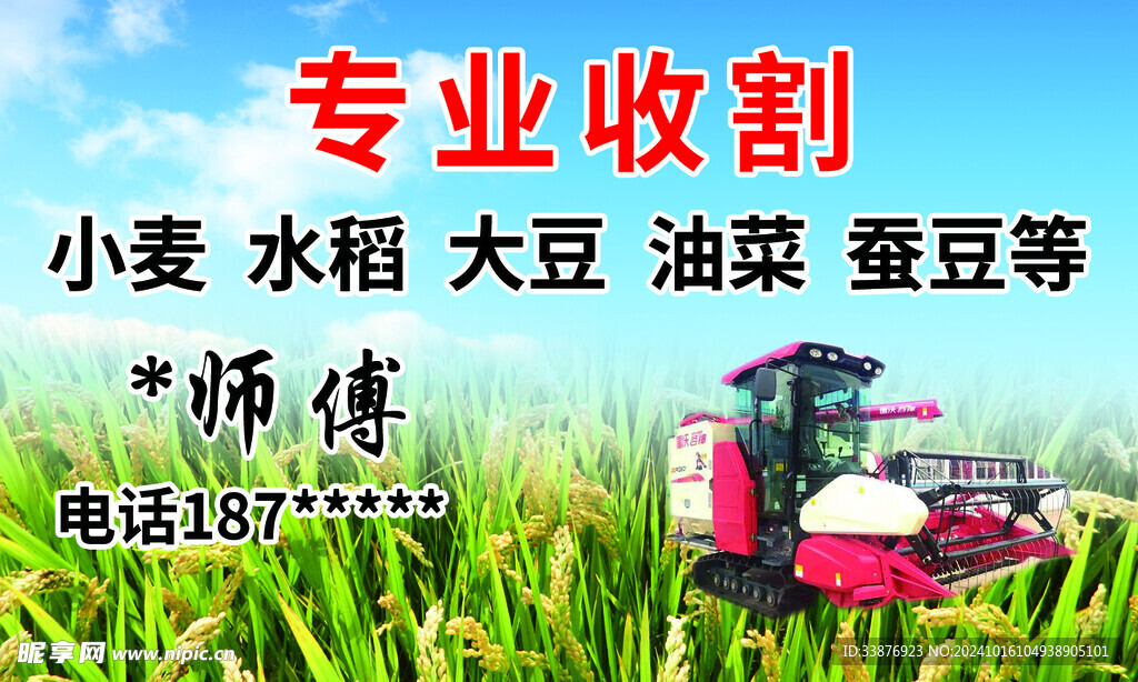 水稻