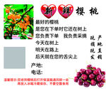 樱桃