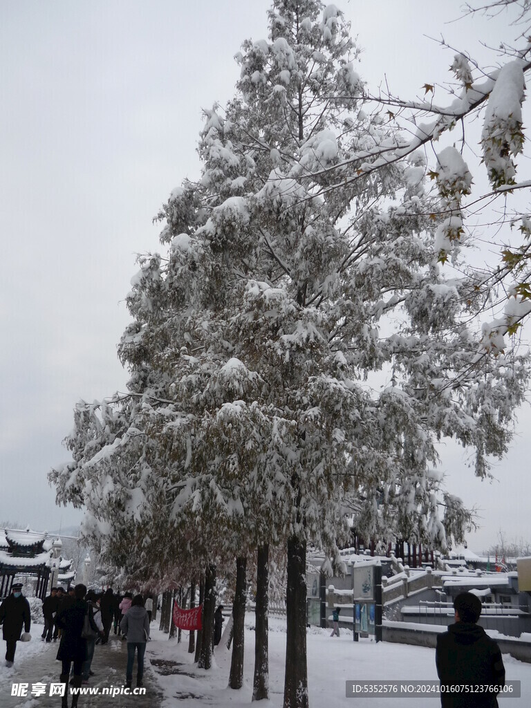 北京大雪