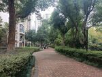 小区绿化
