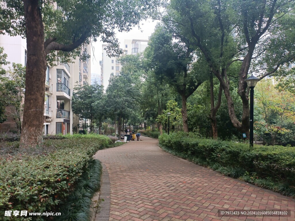 小区绿化