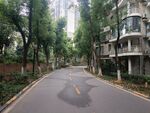 小区绿化