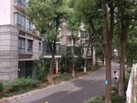 小区绿化