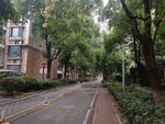 小区绿化