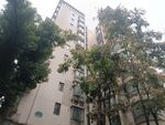 小区绿化